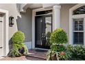 Close-up of the front door with beautiful landscaping at 16629 Sedona De Avila, Tampa, FL 33613