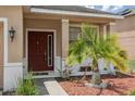 Close-up of the front door, complemented by a vibrant palm tree and neat landscaping at 20606 Whitewood Way, Tampa, FL 33647