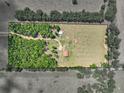 Aerial view of acreage and fenced-in area, showing barn and outbuildings surrounded by trees at 35657 Ashley Ln, Dade City, FL 33523