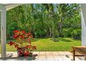 Lush backyard with mature trees and a covered patio area at 11800 Ivywood Pl, New Port Richey, FL 34654