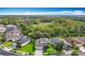 Beautiful aerial view of a home with lush green lawn and mature trees backing up to green space at 2256 Pantucket Dr, Wesley Chapel, FL 33543
