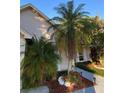 Close up view showcasing the lush landscaping with tropical plants and a decorative walkway at 4504 Cabbage Palm Dr, Valrico, FL 33596