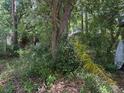 Backyard with lush greenery, mature trees and lots of foliage at 5517 Pentail Cir, Tampa, FL 33625