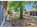 Serene backyard with lush greenery and mature trees, offering a private outdoor space at 6428 Remus Dr, New Port Richey, FL 34653