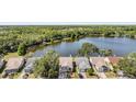 Beautiful aerial view showcasing the home's lakeside location with mature tree coverage and neighboring homes at 11639 Sunshine Pond Rd, Tampa, FL 33635