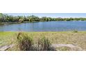 Lakeside view from the yard showing lush grassy area perfect for outdoor enjoyment at 11639 Sunshine Pond Rd, Tampa, FL 33635