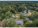 Expansive aerial view of the property and the tranquil, tree-filled neighborhood it resides in at 1205 E Hamilton Ave, Tampa, FL 33604