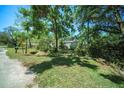 A verdant front yard with mature landscaping, complemented by a charming fenced enclosure at 12302- Pittsfield Ave, Tampa, FL 33624