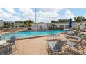 Community pool with lounge chairs and tables, surrounded by a brick patio and manicured grounds at 1655 S Highland Ave # C155, Largo, FL 33756
