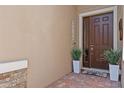 Inviting front entrance with a dark wood door, accent plants, and stone siding at 10514 Scenic Hollow Dr, Riverview, FL 33578