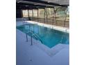 Inviting screened-in pool, perfect for relaxing and enjoying outdoor living at 186 Dan River Dr, Spring Hill, FL 34606
