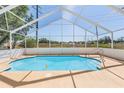 Enjoy this beautiful screened-in pool with a delightful rubber ducky at 6302 Silver Oaks Dr, Zephyrhills, FL 33542