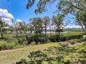 Scenic backyard view featuring lush greenery and a glimpse of the tranquil lake, perfect for relaxation at 1003 Teal Pointe, Tarpon Springs, FL 34689