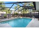 Screened-in pool area with a pristine pool and palm trees in the backyard, perfect for outdoor enjoyment at 785 5Th S St, Safety Harbor, FL 34695