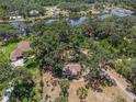 An aerial shot displays the home's location near a body of water, surrounded by mature trees and lush foliage at 11101 Corlett Rd, Riverview, FL 33578