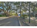 Peaceful street view lined with mature trees, sidewalks, and well-kept homes at 2663 Sequoia Ter # 2663, Palm Harbor, FL 34683