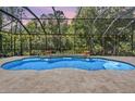 Sparkling screened-in pool with travertine tile and string lights provides a relaxing outdoor retreat at 12801 Castlemaine Dr, Tampa, FL 33626