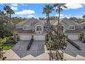 An aerial view of townhomes showing driveway, roof, and mature landscaping at 14418 Mirabelle Vista Cir, Tampa, FL 33626