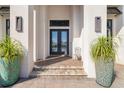 Elegant front entry with double doors and decorative potted plants at 11506 Harbourside Ln, Parrish, FL 34219