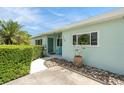 Front entrance featuring fresh paint, decorative rock, and manicured hedges at 736 85Th N Ave, St Petersburg, FL 33702