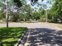 A beautiful street view with mature trees and lush greenery, offering a serene and inviting atmosphere at 601 Park Blvd, Oldsmar, FL 34677