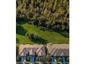 Aerial view of neighborhood backing to green space with mature trees and townhome rooftops at 11833 Castine St, New Port Richey, FL 34654