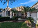 Beautiful single-story home featuring tropical landscaping, a well-manicured lawn, and an attached single-car garage at 19116 Nature Palm Ln, Tampa, FL 33647