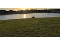 A lush backyard with green grass leading to a serene lake at sunset at 19514 Sea Myrtle Way, Tampa, FL 33647