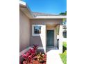 Close-up of the front door with colorful landscaping, showcasing the home's inviting entrance and curb appeal at 811 College Leaf Way, Ruskin, FL 33570