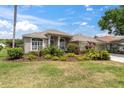 Beautifully landscaped front yard with lush green grass and well-maintained shrubbery surrounding the home at 18714 Chemille Dr, Lutz, FL 33558