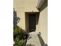 Welcoming front door with a walkway and neat landscaping along the path at 32111 Brookstone Dr, Wesley Chapel, FL 33545