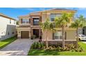 Inviting two-story home with a stone facade, tile roof, palm trees, and a paved driveway at 32324 Rosewood Meadow Ln, Wesley Chapel, FL 33543