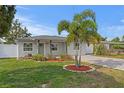 Charming single-story home boasting a well-maintained lawn, complemented by vibrant landscaping with palm tree feature at 4003 W Lemon St, Tampa, FL 33609