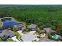 Aerial view showcases a home in a lush neighborhood with a pond and mature tree coverage at 14809 Ninebark Ct, Land O Lakes, FL 34638