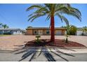 Charming single-story home with lovely palm trees, a paver driveway, and a well-manicured lawn at 4011 99Th W St, Bradenton, FL 34210