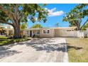 Inviting one-story home showcasing a well-maintained front lawn, carport, and mature trees providing ample shade at 4519 S Grady Ave, Tampa, FL 33611