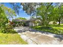 Single-story home with beautiful landscaping, a long driveway, and a well-maintained lawn at 503 Tangerine Dr, Oldsmar, FL 34677