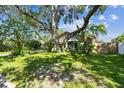 Expansive front yard with mature trees and a well-manicured lawn, offering a peaceful and private setting at 503 Tangerine Dr, Oldsmar, FL 34677