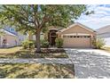 Charming single-story home with well-maintained lawn and a spacious two-car garage at 8704 Sandy Plains Dr, Riverview, FL 33578