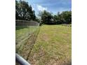 Spacious backyard with chain link fence. Perfect for outdoor activities and enjoying nature at 17026 State Road 54, Lutz, FL 33558