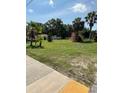 Scenic front yard with lush green grass and majestic palm trees at 17026 State Road 54, Lutz, FL 33558