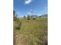 Expansive grassy area, ideal for outdoor activities, with buildings visible in the background at 17026 State Road 54, Lutz, FL 33558