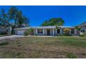 Charming single-story home with well-maintained lawn, brick facade, and beautiful landscaping at 3133 Pineview Dr, Holiday, FL 34691