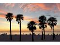 Picturesque beach scene with palm trees silhouetted against a vibrant sunset, a serene coastal view at 833 Lantana Ave, Clearwater Beach, FL 33767