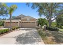 Charming home with a well-maintained lawn, mature landscaping, and a spacious driveway leading to a two-car garage at 19194 Lake Audubon Dr, Tampa, FL 33647