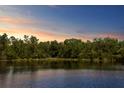 A serene view of the lake, surrounded by lush green trees and a beautiful blue sky at 19194 Lake Audubon Dr, Tampa, FL 33647