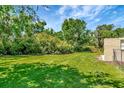 Expansive backyard featuring lush green lawn perfect for outdoor activities at 2054 Deerwood Rd, Seffner, FL 33584