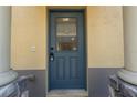 Stylish front door with security features set in an inviting and secure entryway at 246 Castlekeeper Pl, Valrico, FL 33594