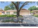 View of a beige one-story home featuring a large tree in the front yard and a two-car garage at 11210 Wheeling Dr, Tampa, FL 33625