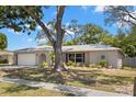 A single-story home with a large tree, manicured lawn, and architectural details near the front window at 914 Woodland Dr, Palm Harbor, FL 34683